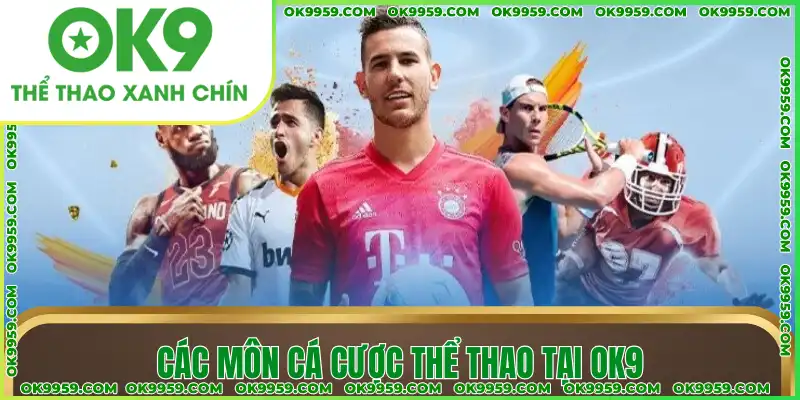 Các môn cá cược thể thao tại OK9