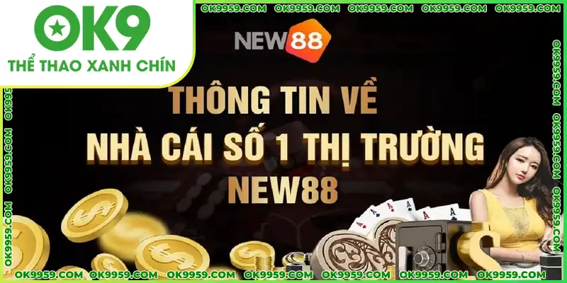 Thông tin tổng quan về đối tác NEW88