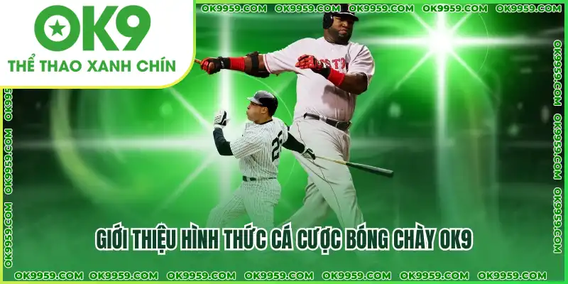 Giới thiệu hình thức cá cược bóng chày OK9
